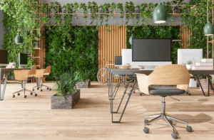 office fit outs